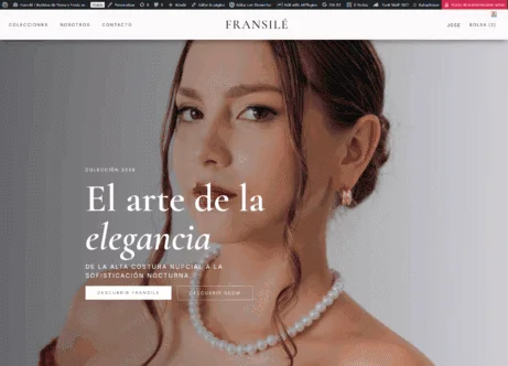 Screenshot of the Fransilé website, a freelance project by José Apaza Sevilla