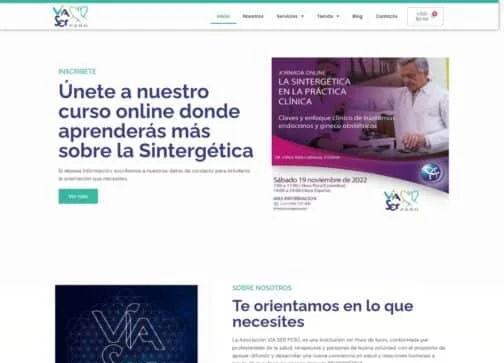 Screenshot of the Vía Ser Perú website, a freelance project by José Apaza Sevilla